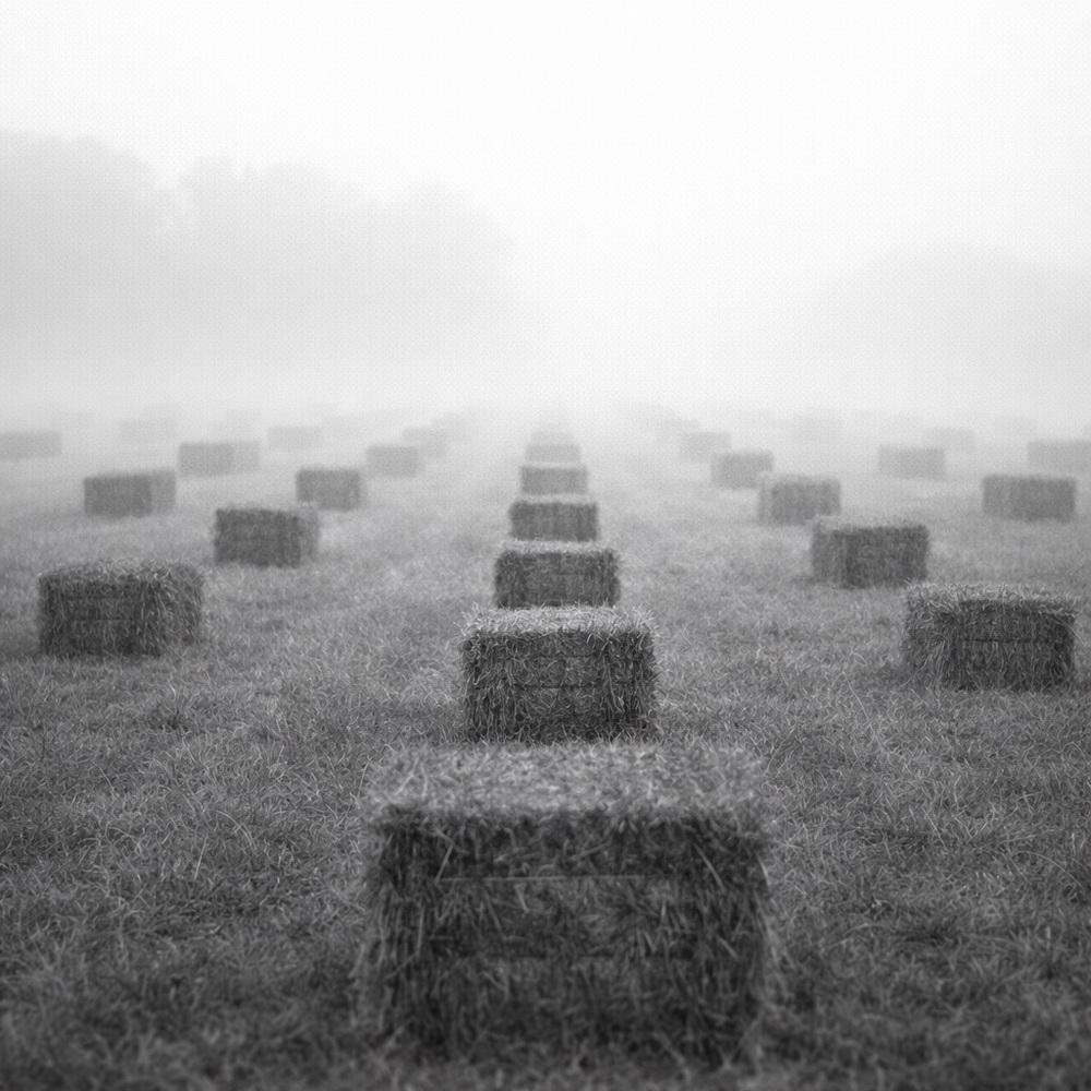 Serene Gray Landscape Photography Print